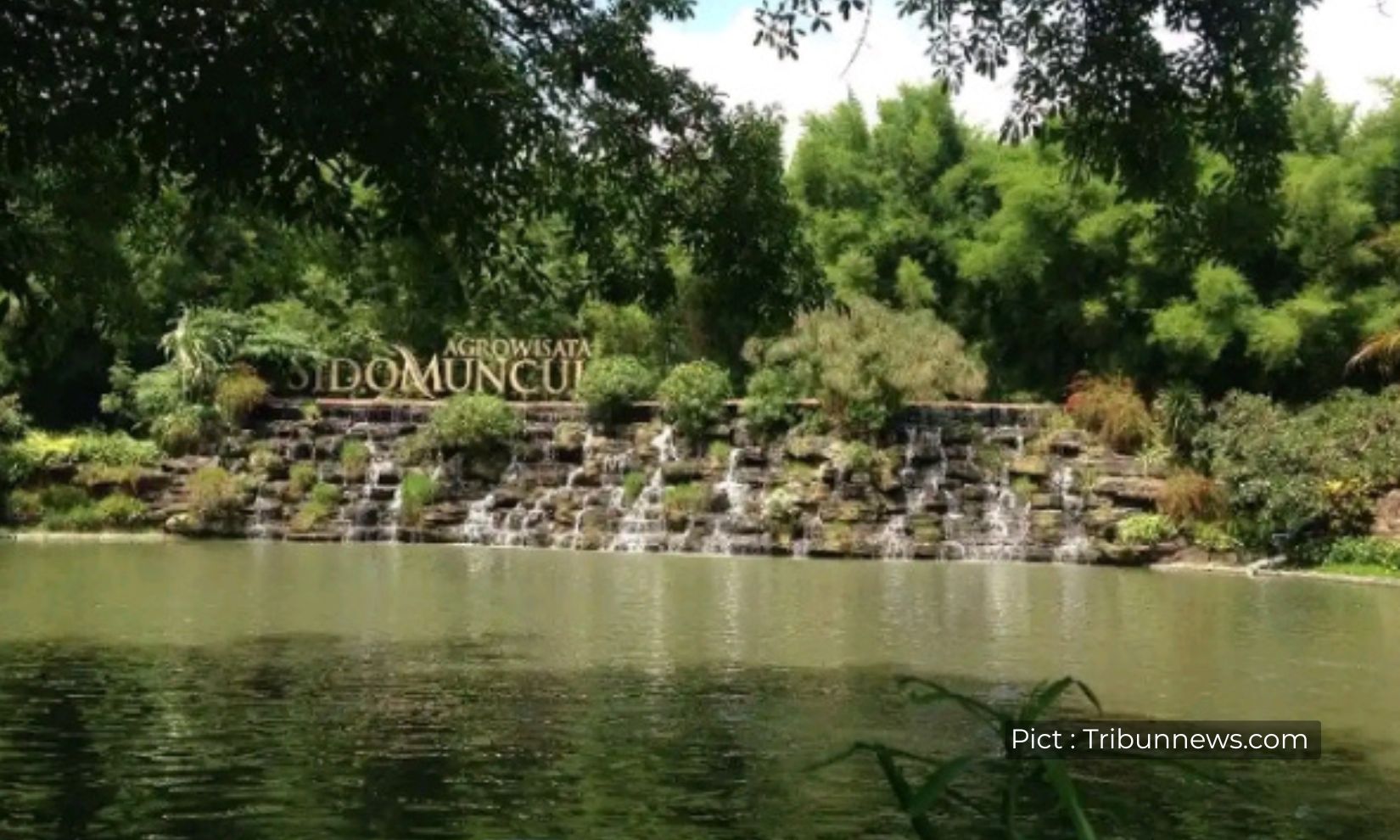 wisata-industri-melihat-proses-produksi-pabrik-jamu-sido-muncul-di-semarang