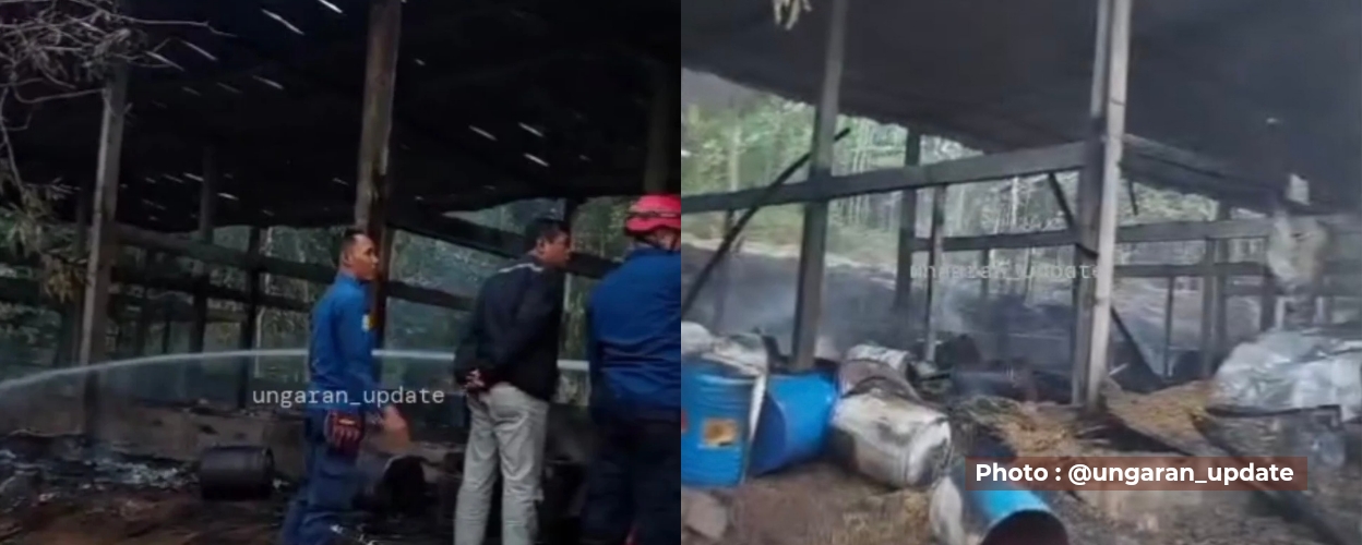 kandang-ayam-di-bandungan-terbakar-kerugian-capai-rp-400-juta