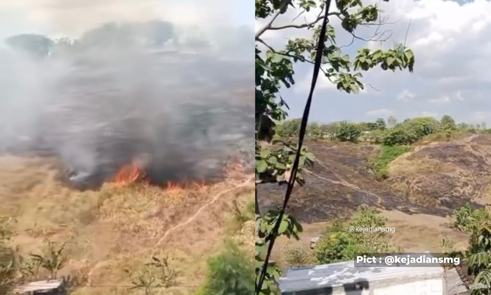 lahan-di-bukit-teletubis-tandang-semarang-terbakar-penyebab-kebakaran-belum-diketahui