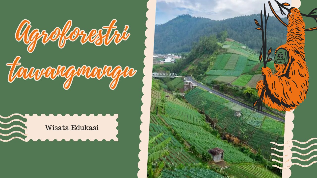 wisata-edukasi-di-agroforestri-tawangmangu-belajar-bertani-di-tengah-keindahan-alam