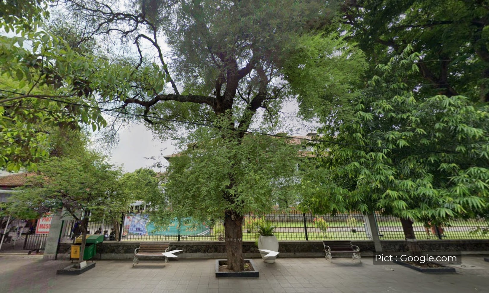 tak-sekadar-peneduh-ini-dia-alasan-belanda-tanam-banyak-pohon-asam-di-semarang