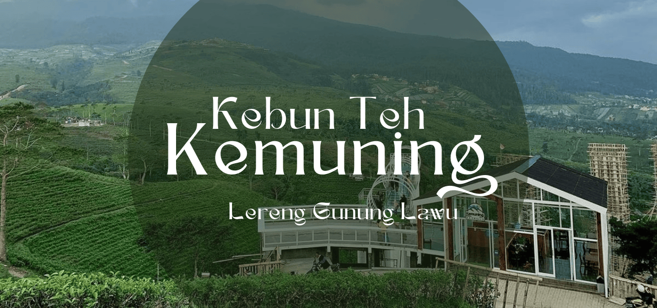 mengunjungi-kebun-teh-kemuning-wisata-sejuk-di-lereng-gunung-lawu