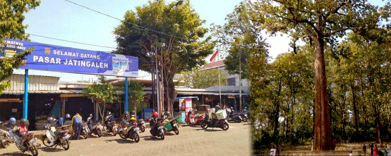 asal-usul-nama-daerah-jatingaleh-dan-keterkaitannya-dengan-pembangunan-masjid-agung-demak