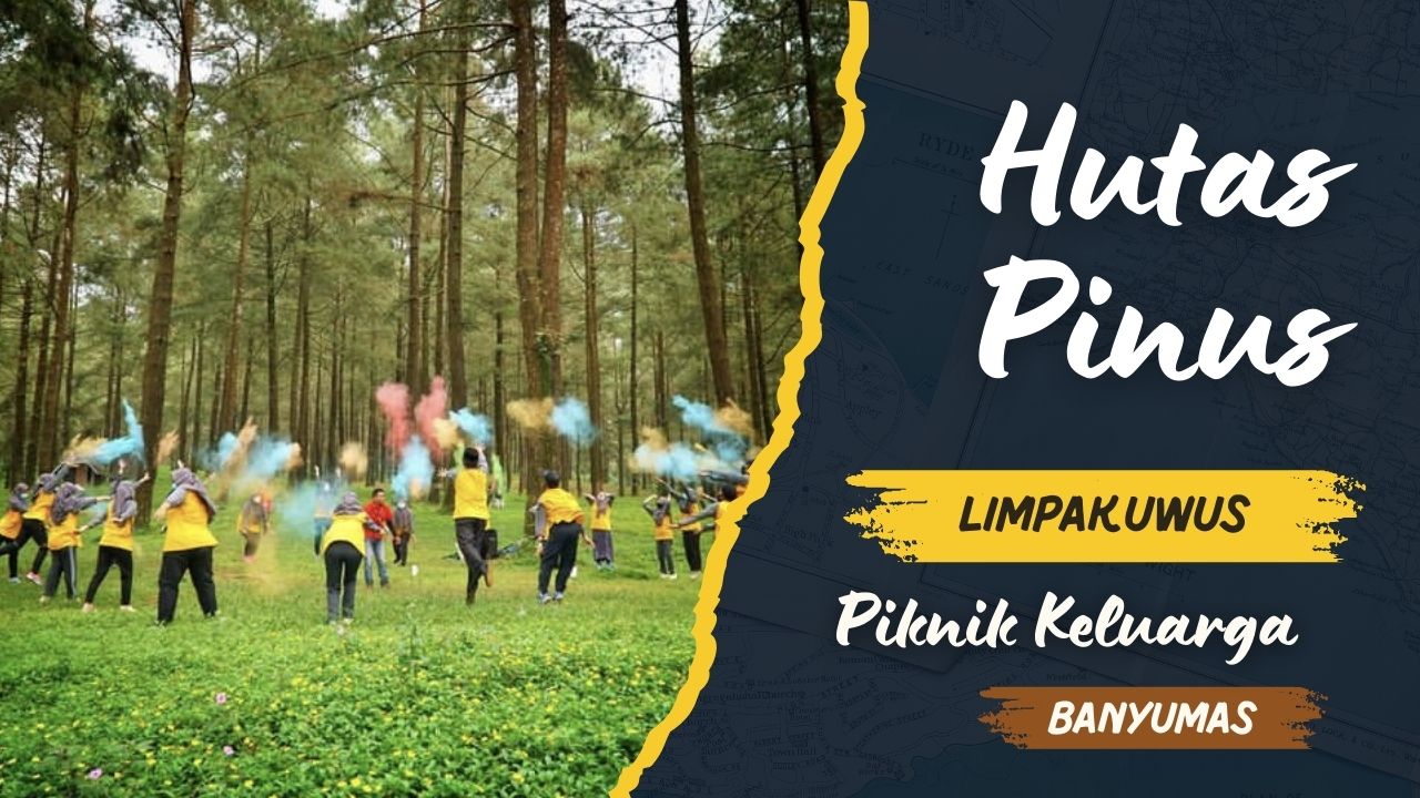 mengeksplorasi-hutan-pinus-limpakuwus-tempat-piknik-keluarga-di-banyumas