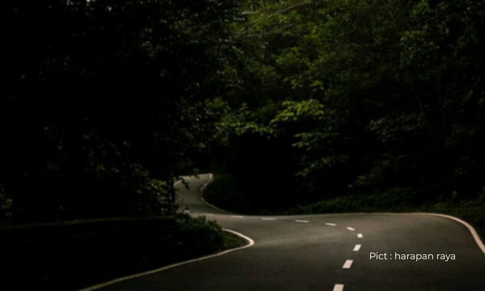 mengenal-hutan-paling-angker-di-jawa-tengah-alas-roban-jalur-tengkorak-di-kawasan-batang-yang-dipenuhi-misteri