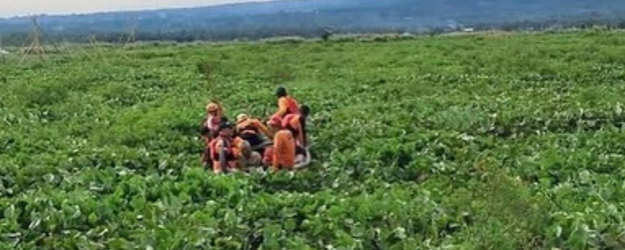 tim-sar-evakuasi-kakek-pencari-eceng-gondok-terjebak-di-rawa-pening-semalaman-akibat-cuaca-buruk