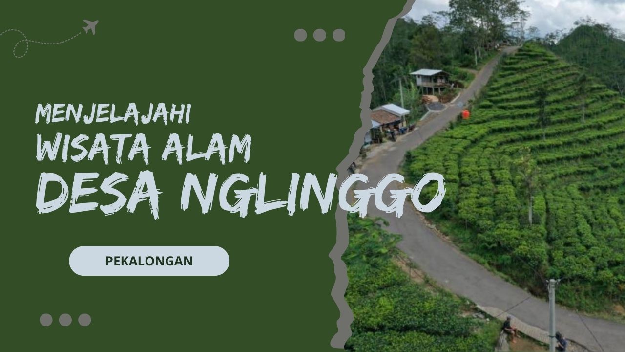 wisata-desa-nglinggo-di-pekalongan-dari-kebun-teh-hingga-panorama-matahari-terbit