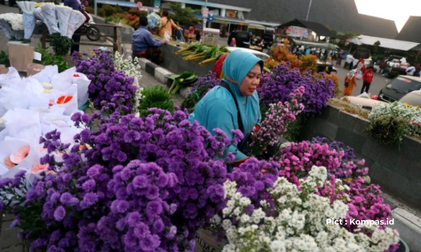 cantik-dan-penuh-warna-keunikan-pasar-bunga-bandungan-sebagai-pemasok-florist-terbesar-di-jawa-tengah
