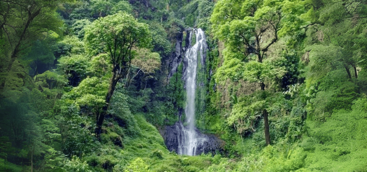 keindahan-curug-lawe-surga-tersembunyi-di-lereng-gunung-ungaran