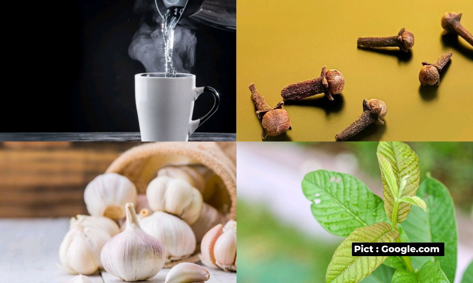 lebih-baik-sakit-hati-dari-pada-sakit-gigi-tips-mudah-dan-alami-mengobati-sakit-gigi